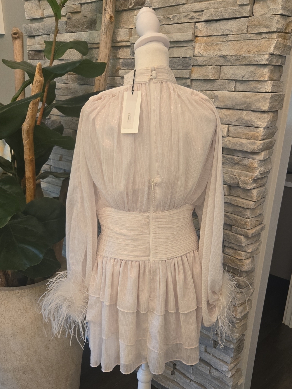 A Loves A Mock Neck Feather Trim Mini Dress - Picture 4 of 6